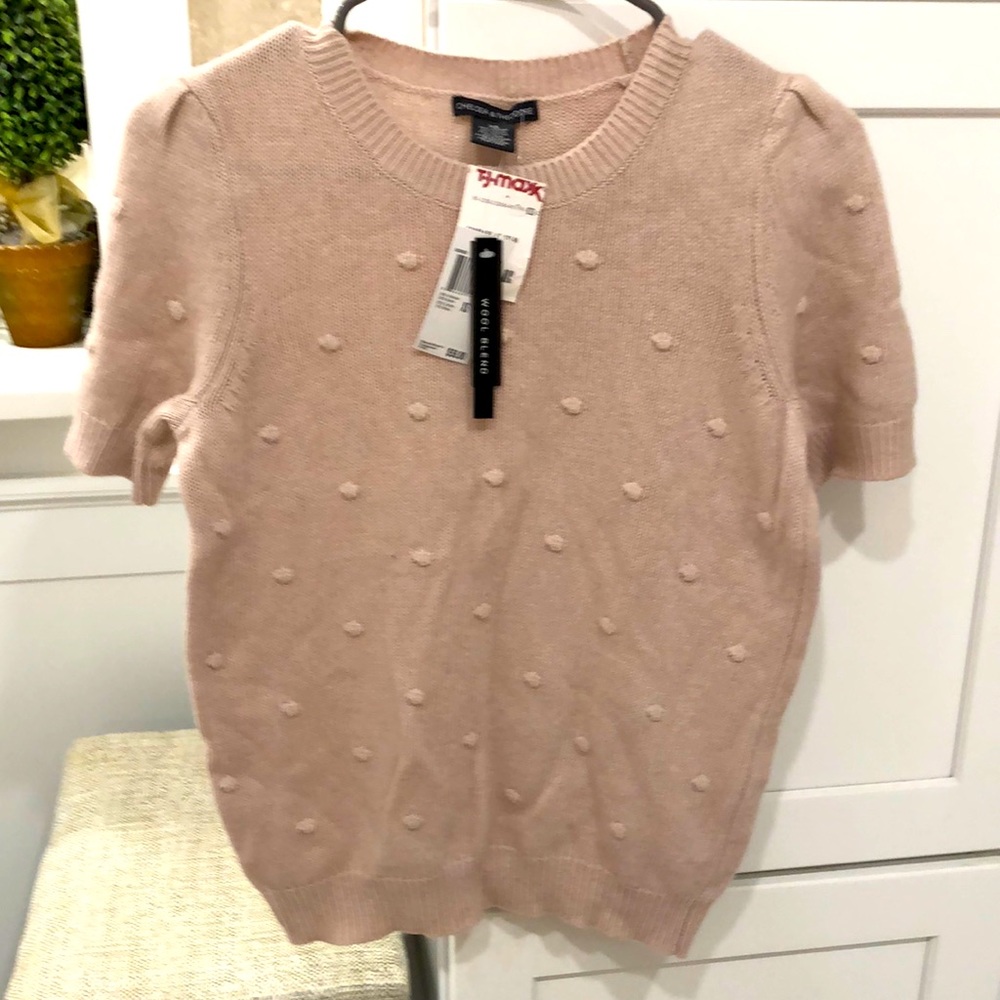 🥐NWT Chelsea and Theodore sweater.